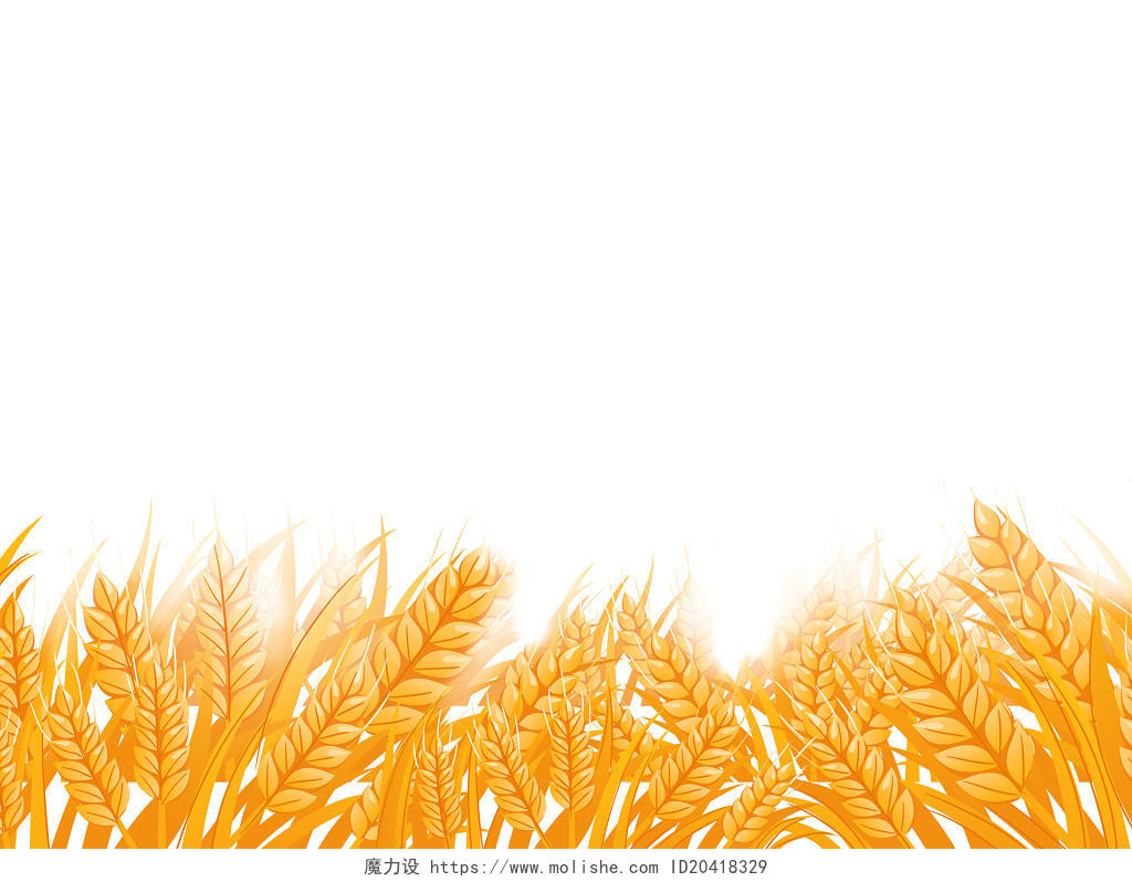 秋分九月你好金色黄色插画卡通秋天秋季小麦水稻稻谷麦田png素材